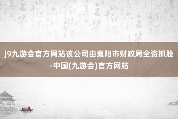 j9九游会官方网站该公司由襄阳市财政局全资抓股-中国(九游会)官方网站